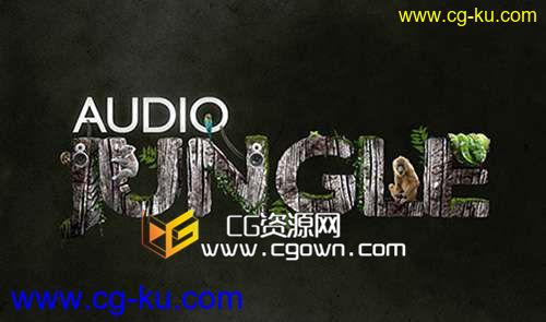 5种风格片头音乐素材 AudioJungle Corporate Logo Pack 513541的图片1