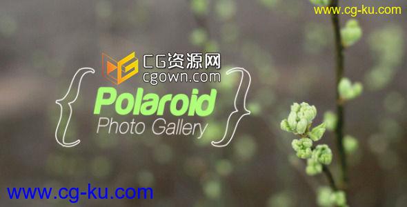 春季相册 家庭活动纪念日视频 Videohive Spring Photo Gallery AE模板的图片1