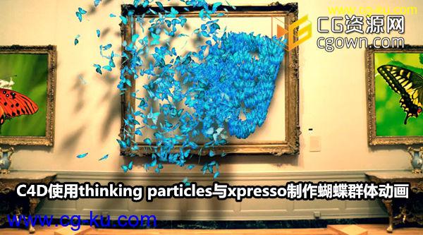 C4D制作蝴蝶群体动画教程 Cinema4dtutorial utterfly Thinking Particles Xpresso的图片1