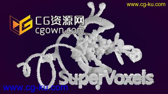 C4DR16像素化插件 Remotion4D SuperVoxels 131125 for Cinema4D WIN64的图片1