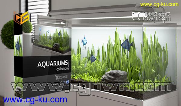 C4D水族馆植物模型 CGAxis Models Volume 24 Aquariums  格式max/c4d/fbx/obj的图片1