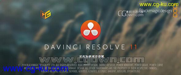 DaVinci Resolve v11.1 (Win64) 正版带破解补丁 免加密狗 带降噪功能的图片1