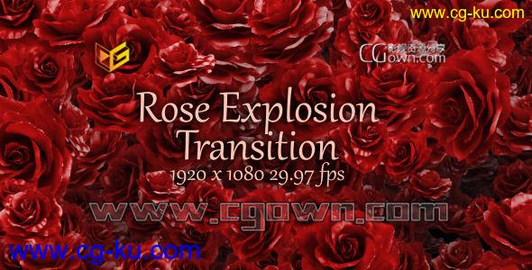 带Alpha通道红色玫瑰坠落旋转过渡转场全高清视频素材 Rose Explosion Transition的图片1