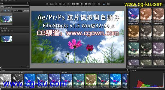 AE胶片调色影视特效插件 DFT FilmStocks v2.0 for Adobe, Avid and OFX (VR)的图片1