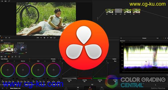 达芬奇11最全面的培训视频教程 Color Grading Central – Davinci Resolve 11的图片1