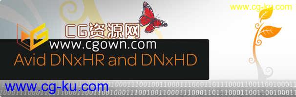 Avid DNxHR and DNxHD Quicktime 编解码器 v2.6.0（Win）的图片1