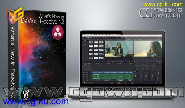 DaVinci Resolve 12 达芬奇12全新功能全面基础培训视频教程的图片1