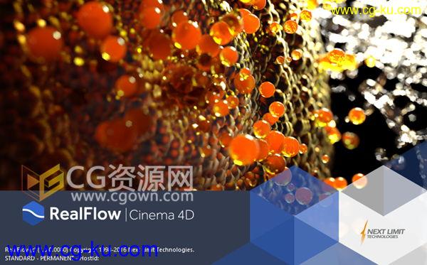 Realflow for Cinema4D v1.0.0.0080 破解版C4D插件流体动力学模拟的图片1