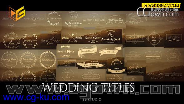 44种婚礼人名字幕条徽章动画AE模板 丝带文字标题动画设计 免费下载的图片1