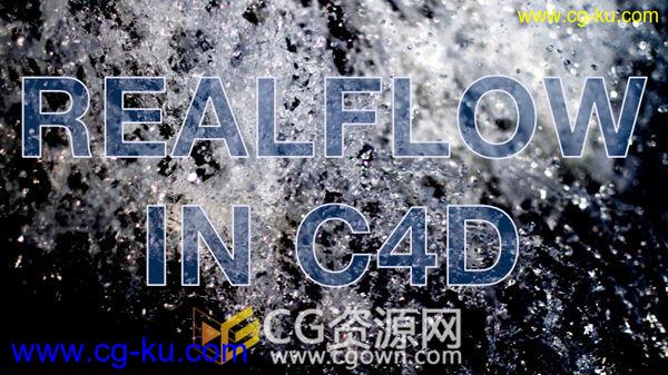 全面学习Realflow For Cinema 4D插件流体液体模拟视频教程 免费下载的图片1