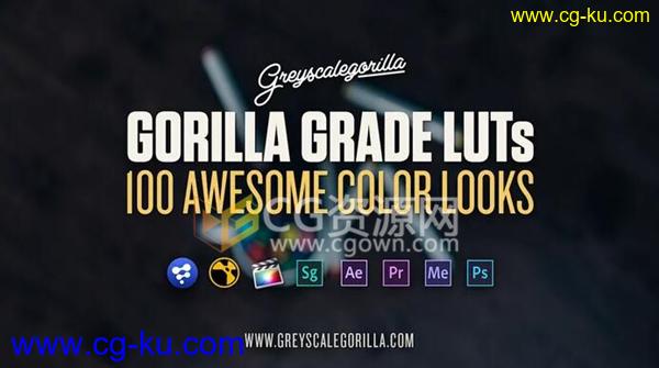 100种LUTs专业电影调色预设文件 GSG Grade LUTs 带使用视频的图片1