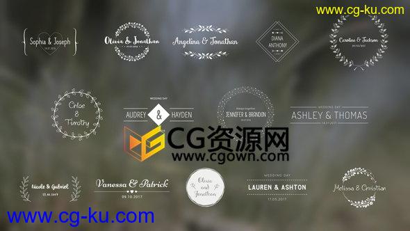 14组设计复古徽章浪漫婚礼文字标题包装动画AE模板的图片1