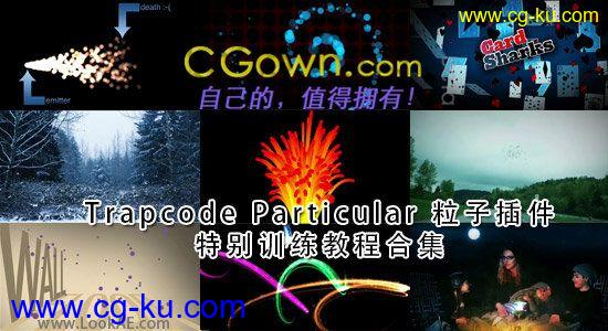 Trapcode Particular 粒子插件特别训练教程合集的图片1