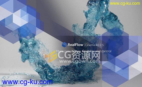 RealFlow Cinema 4D 2.5.2 0075 新版插件C4D流体动力学模拟的图片1