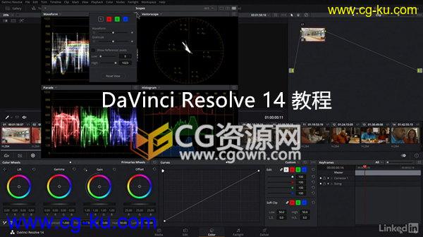 学习DaVinci Resolve 14 达芬奇视频教程的图片1