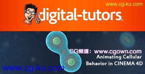 Digital Tutors-C4D细胞运动动画视频教程的图片1