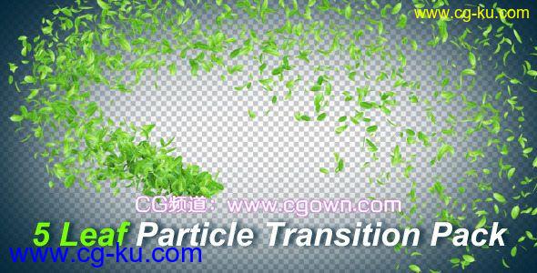 Videohive 5 Leaf Particle Transition Pack 5种树叶粒子转场包的图片1