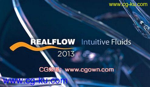 【绝对】RealFlow 2013 (Win64) 绝对完美注册-免费下载的图片1