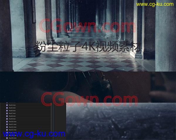 视频素材下载25组粉尘粒子悬浮飘动4K视频素材制作特效合成效果的图片1