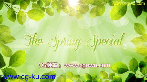 春天The Spring Special – Promo Pack – Videohive AE模板的图片1