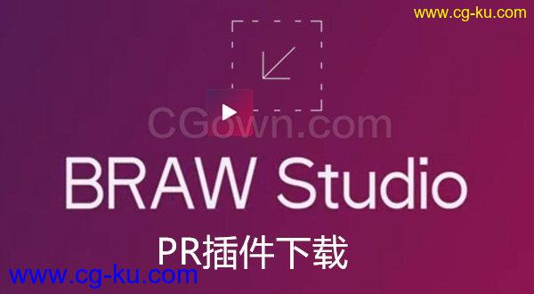 BRAW Studio v1.1.0将RAW素材导入PR插件Premiere Pro使用的图片1