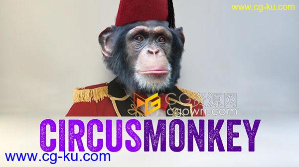 CircusMonkey v1.03 动态3D翻转动画文字排版效果AE脚本下载的图片1