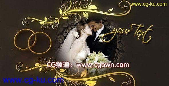 AE模板videohive唯美大气婚礼演绎wedding rings的图片1