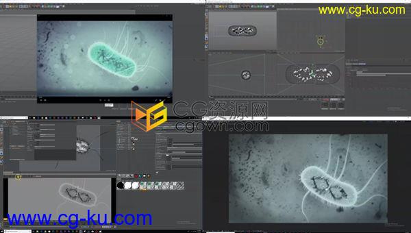 C4D&AE教程大肠杆菌建模细菌触角动画教程的图片1