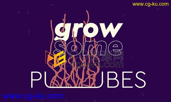 Pubes v1.0 AE脚本下载快速生成多边形线条生长动画工具的图片1