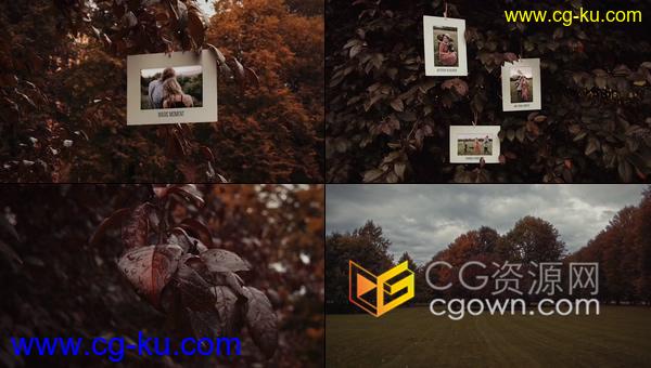 4K大气秋季实拍自然植物场景树木枝叶挂着照片合成视频相册-AE模板的图片1