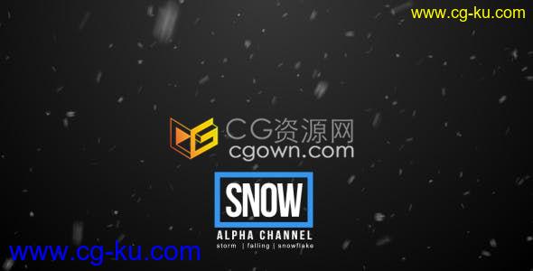 4组带Alpha通道的实用降雪下雪灰尘雪花粒子循环视频素材免费下载的图片1
