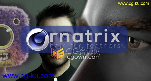 Ephere Ornatrix v1.0.0.21988插件C4D头发毛发羽毛模拟安装免费下载的图片1