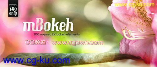 100组2K光斑炫光素材mBokeh – 100 Organic 2K Bokeh的图片1