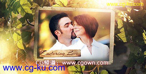 秘密花园照相馆The Secret Garden Photo Gallery videohive AE模板的图片1