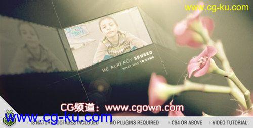 AE模板VIDEOHIVE Natural Life自然清新图片展示的图片1