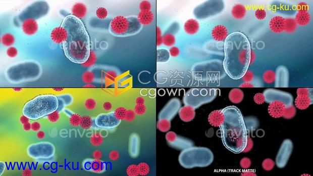 视频素材抗新型冠状病毒抗体疫苗细胞变化动画效果视频的图片1