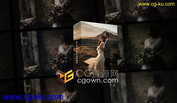 New Wedding LUTs 30组高质量cube预设婚礼视频调色效果的图片1