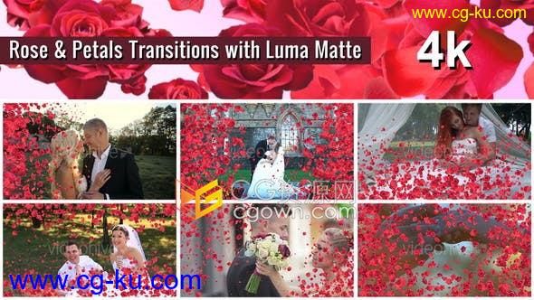 4K视频素材-7种效果玫瑰花瓣动画过渡制作视频转场效果的图片1
