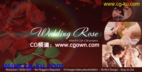 玫瑰婚礼videohive Wedding Rose AE模板的图片1