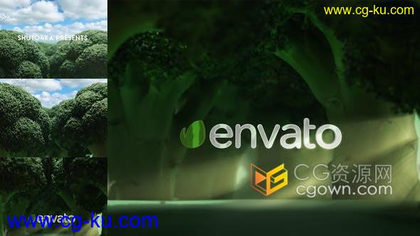 3D西兰花场景动画生态自然素食健康饮食品牌宣传片头视频-AE模板的图片1