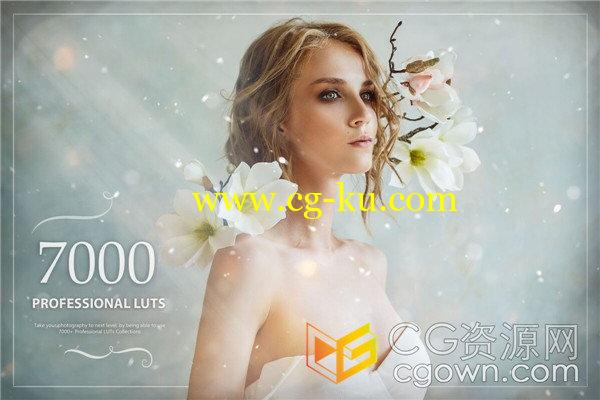 7000+专业LUTs调色CUBE预设清新美丽温馨复古时尚多种图片视频校色风格的图片8
