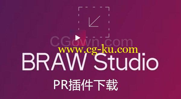 BRAW Studio v2.2.4 Win/Mac支持PR/AE软件导入编辑Blackmagic RAW格式素材的图片1