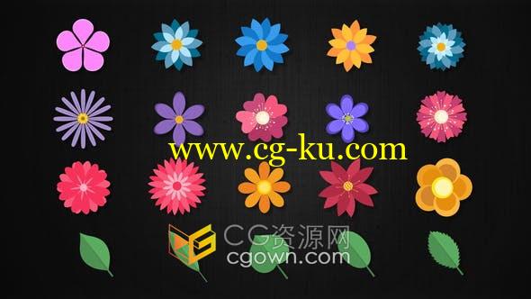 20 Floral Elements卡通花卉叶子装饰元素动画视频工程-AE模板的图片1