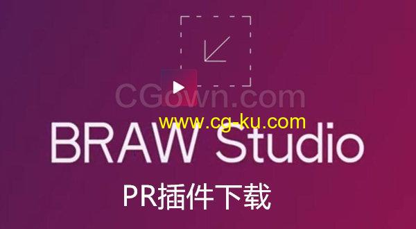 BRAW Studio v2.3.0 PR/AE/ME软件导入编辑Blackmagic RAW格式素材的图片1