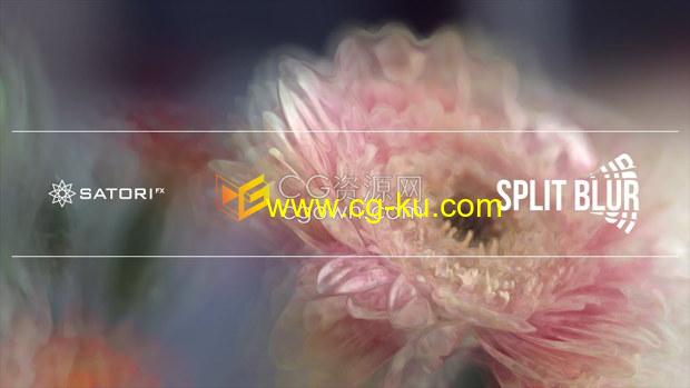 AE/PR插件Split Blur v1.0.0万花筒分割模糊迷幻绘画视觉特效的图片1