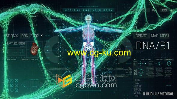 AE模板-医疗新科技介绍HUD人体化学生物元素UI界面动画身体心脏大脑病毒DNA的图片1