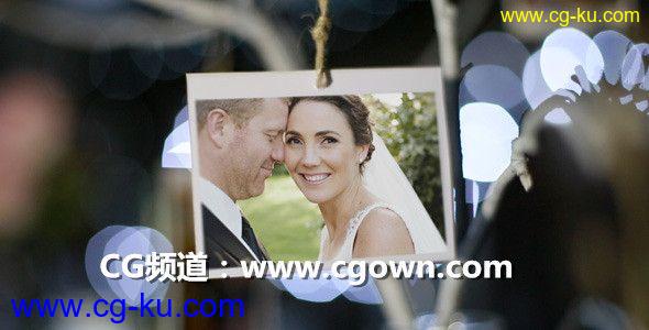 AE模板-Videohive Photo Gallery at a Country Wedding II 婚礼相片包装的图片1