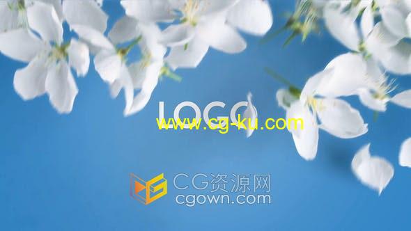 Resolve达芬奇模板-生态新鲜花卉花瓣动画LOGO视频片头制作的图片1