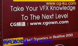 FXPHD – RFL203: Fluid Dynamics in Realflow 2013液体动力学教程的图片1