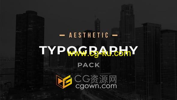 AE模板-视频字幕文字标题动画制作Aesthetic Typography Pack的图片1